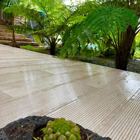 Apartament Estudio Lissy *