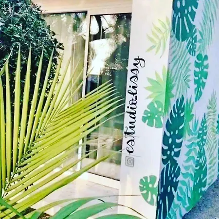 Estudio Lissy Apartment *